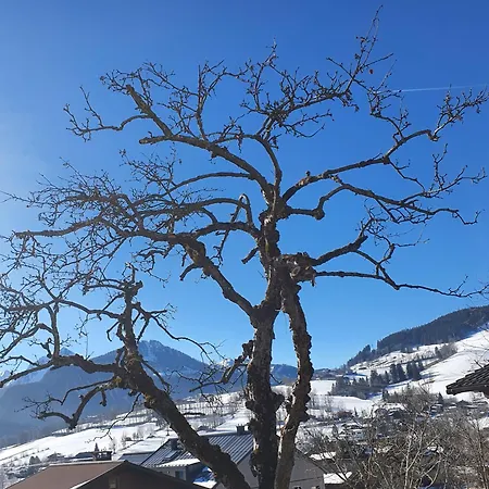 Appartement Altenhof *