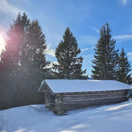 Апартаменты Altenhof *