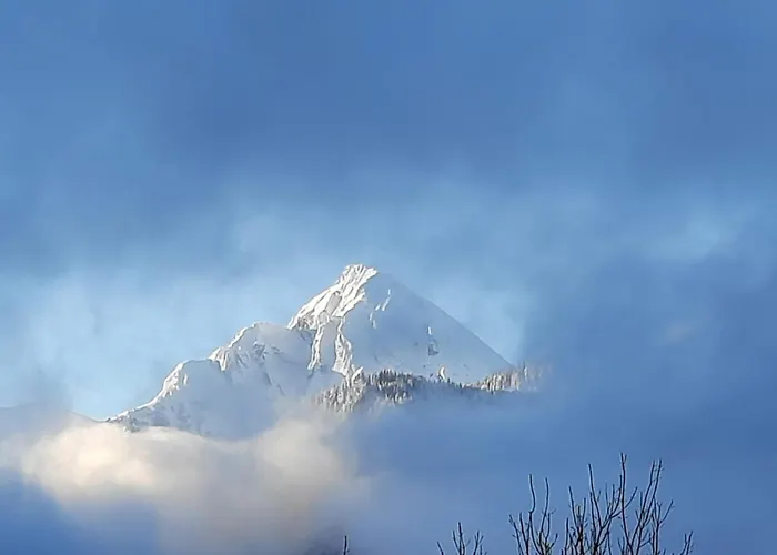 Appartement Altenhof *