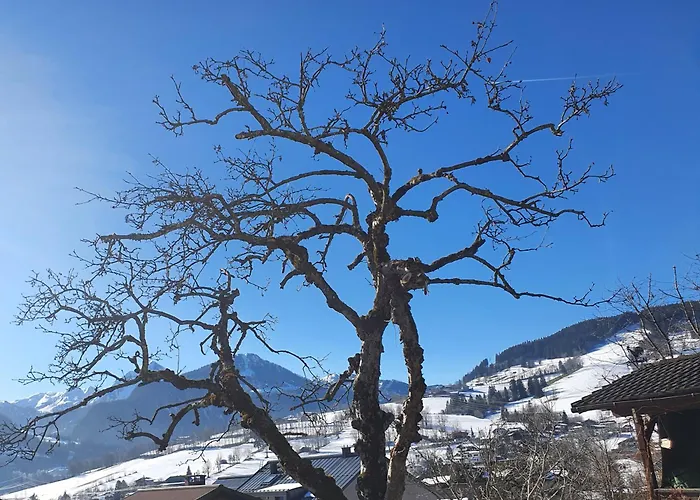 Appartamento Altenhof *